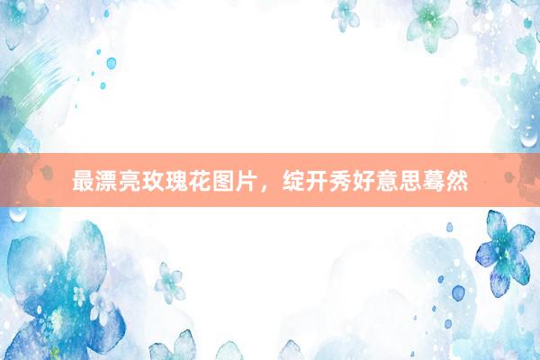 最漂亮玫瑰花图片，绽开秀好意思蓦然