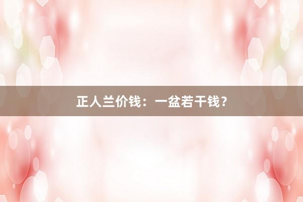 正人兰价钱：一盆若干钱？